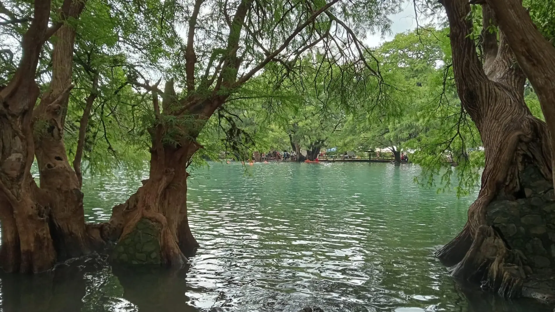 Lago de Camécuaro 1